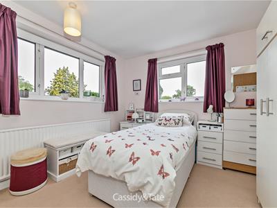 Picture 19